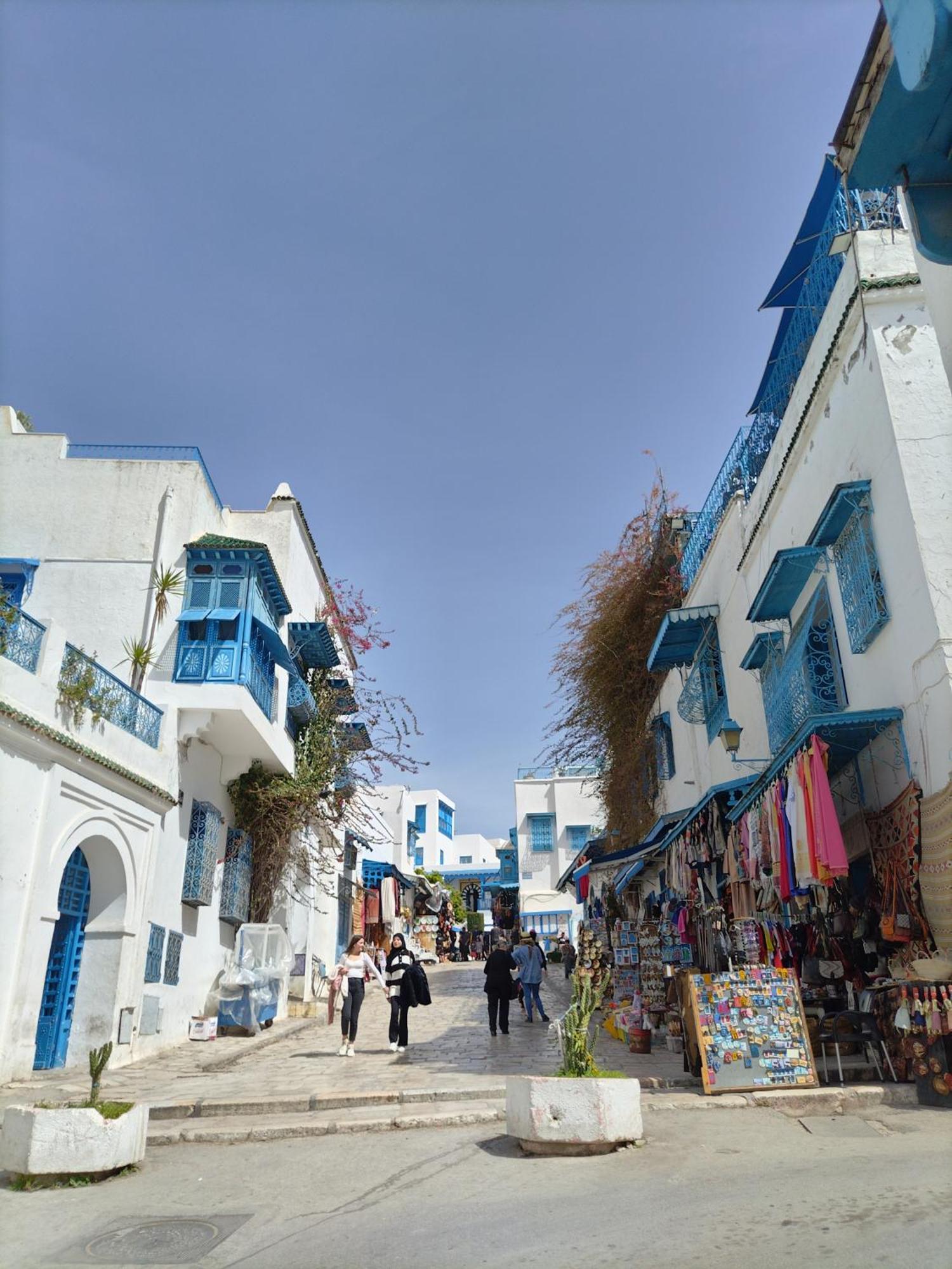Marsa - Sidi Bousaid Lovely Authentic Apartment La Marsa Exterior photo
