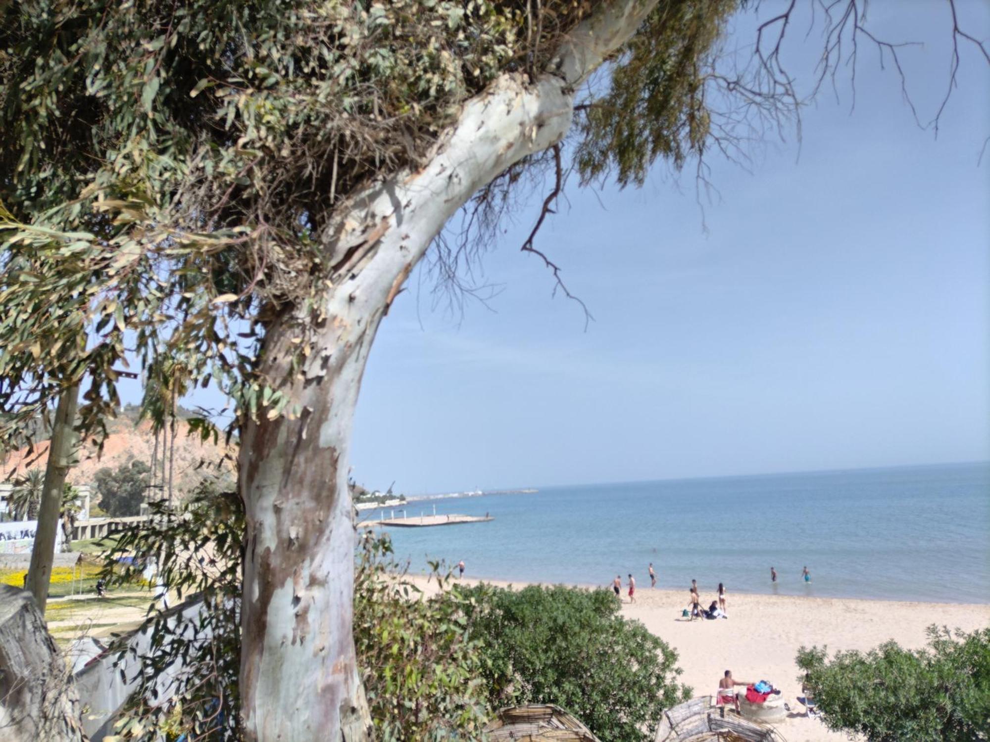 Marsa - Sidi Bousaid Lovely Authentic Apartment La Marsa Exterior photo